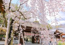 【2019版】日本全國賞花景點大公開?北海道、東京、關西、九州、沖繩賞櫻最佳時間景點蒐集