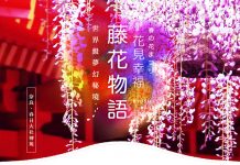 【必看】2019日本紫藤花秘境重要景點懶人包 賞花期(關東 / 關西 / 九州 / 北海道 / 東北)
