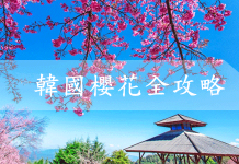 韓國賞櫻全攻略:韓國櫻花花期預測+最佳賞櫻地推薦