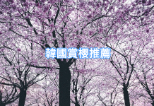 韓國賞花勝地推薦?【春季早鳥賞花優惠?】打算睇櫻花嘅你唔好錯過!?
