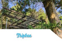 最新 Tripbaa趣吧優惠券/折扣碼 台灣在地戶外行程 露營優惠折扣